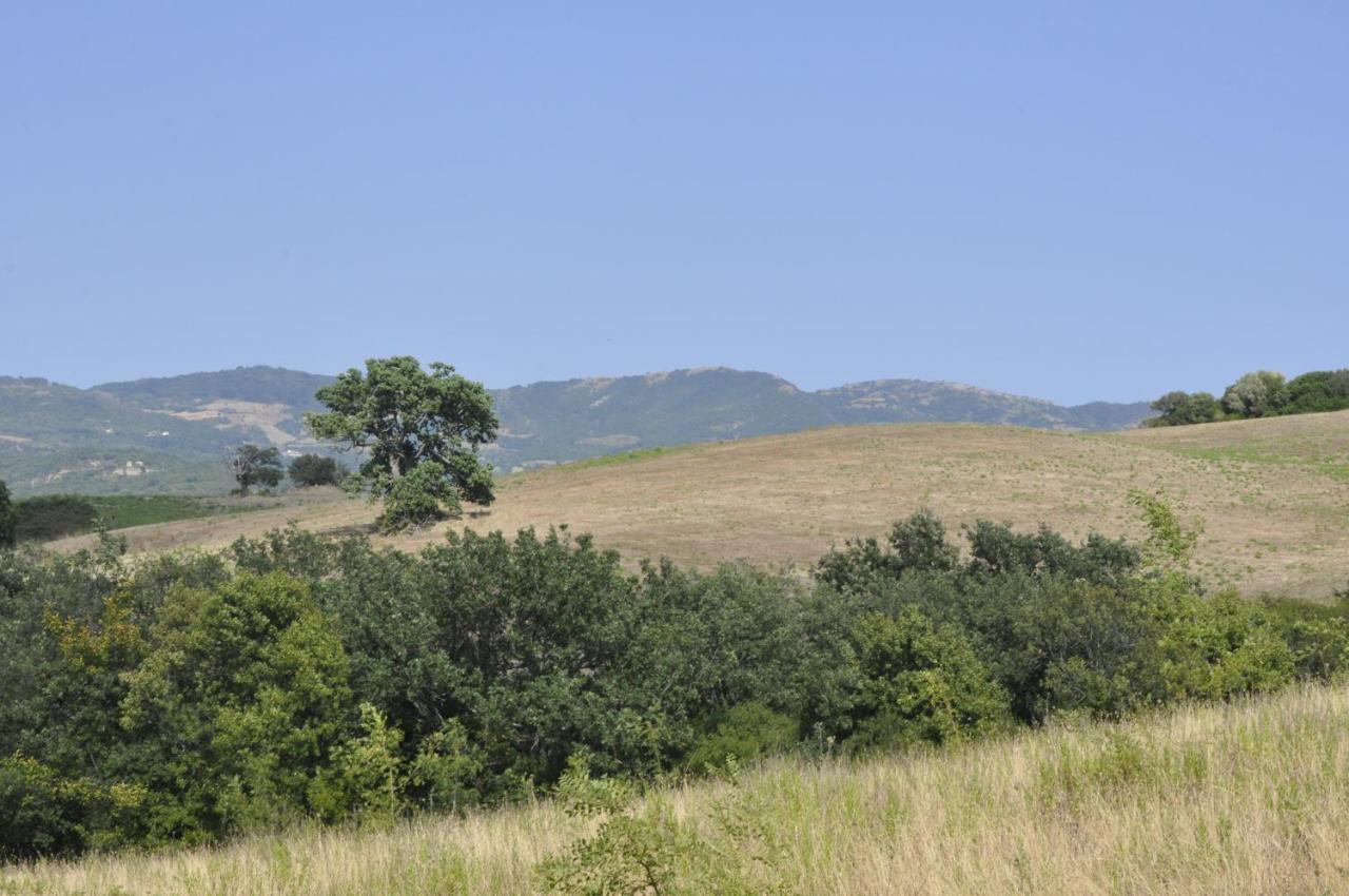 La Colombera In Toscana 로칼베냐 외부 사진