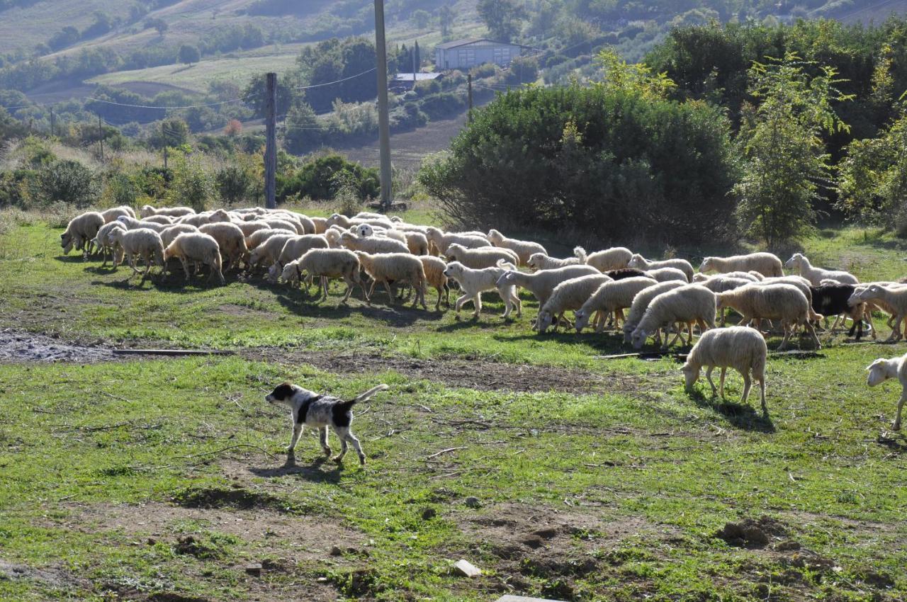 La Colombera In Toscana 로칼베냐 외부 사진